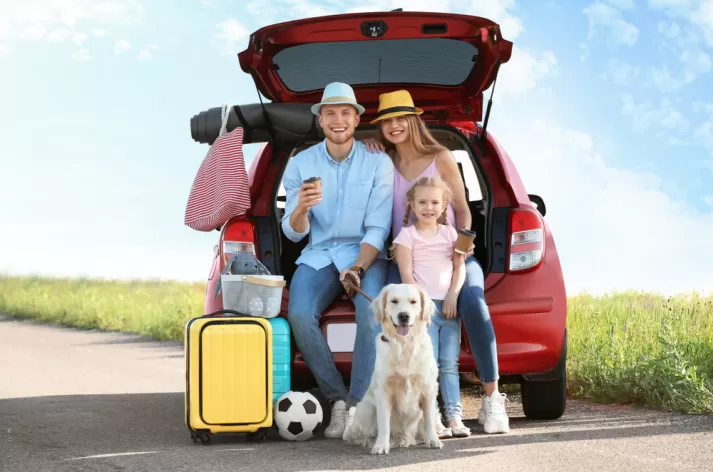 ozon desinfectie prijzen