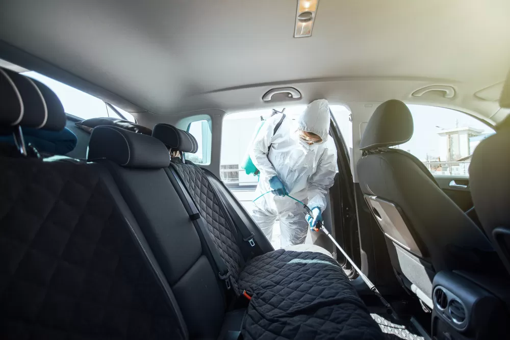 seat and floor disinfection